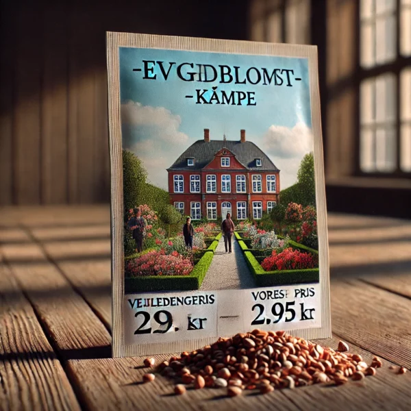 Evighedsblomst -kæmpe