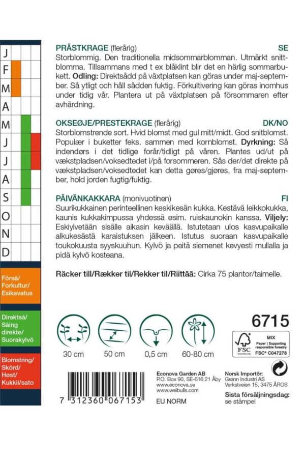 Okseøje, præstekrage - Image 2