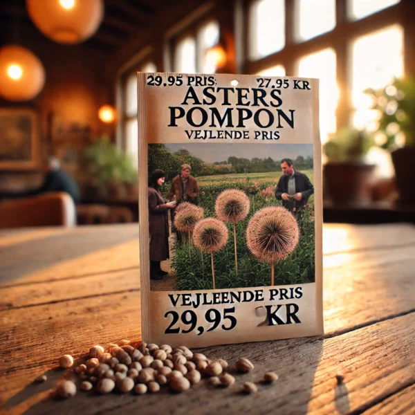 Asters pompon