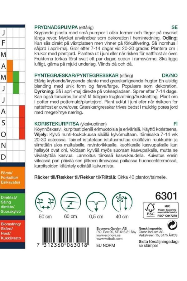 Græskar pyntegræskar - Image 2