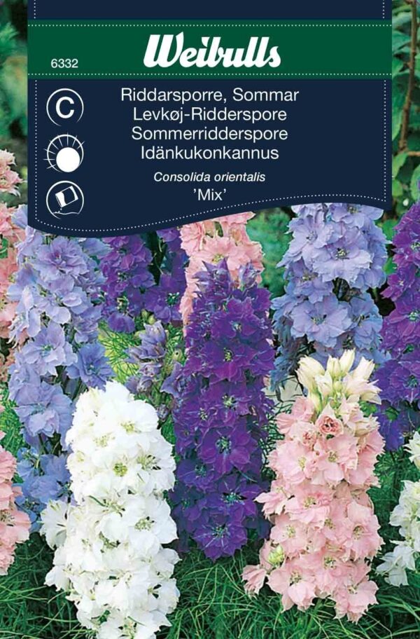 Ridderspore levkøj mix