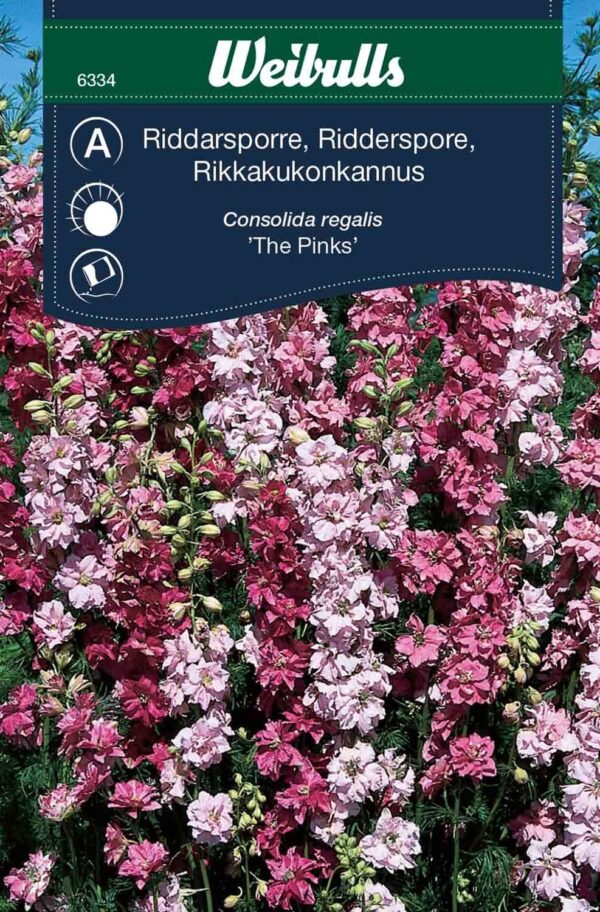 Ridderspore