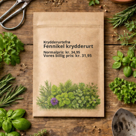 Fennikel krydderurt