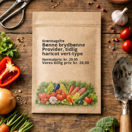 Bønne brydbønne Provider, tidlig haricot vert-type