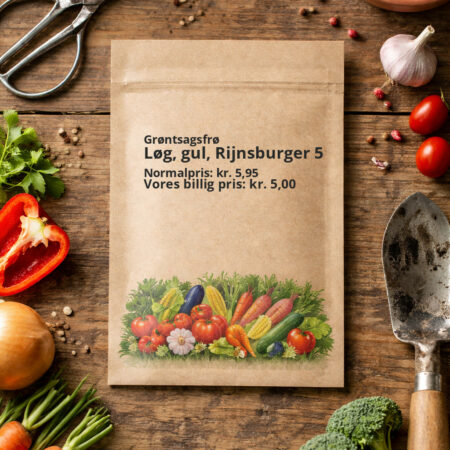 Løg, gul, Rijnsburger 5