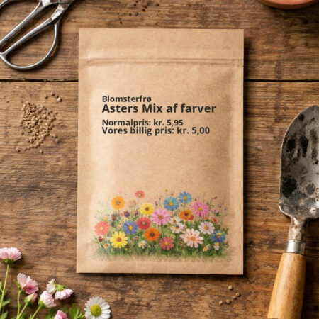 Asters Mix af farver