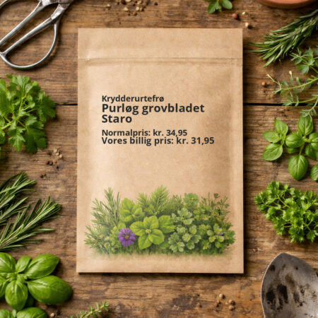 Purløg grovbladet Staro