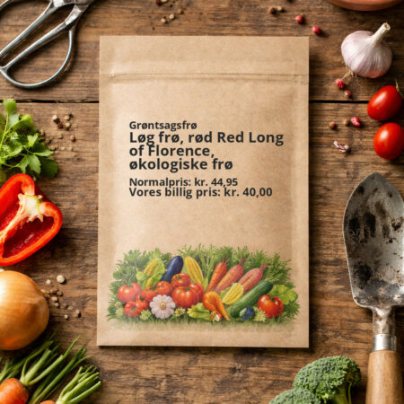 Løg frø, rød Red Long of Florence, økologiske frø
