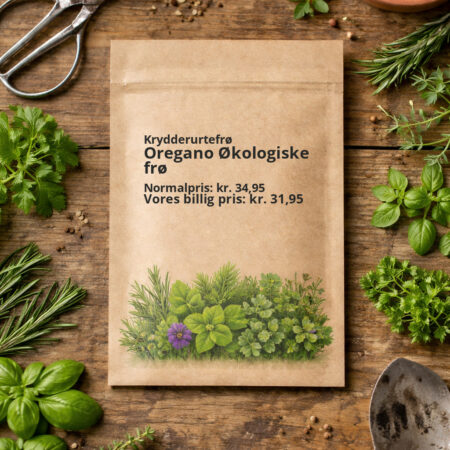 Oregano Økologiske frø