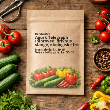 Agurk Telegraph Improved, drivhus slange, økologiske frø
