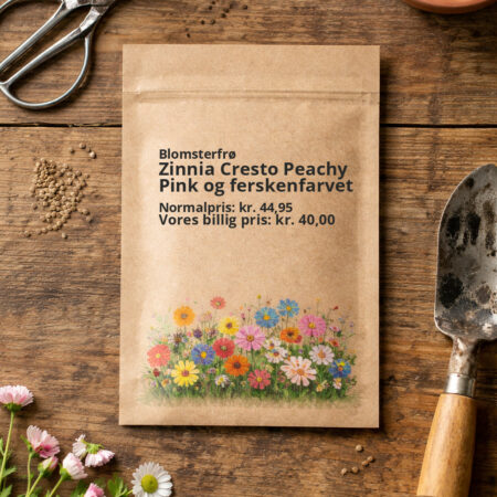 Zinnia Cresto Peachy Pink og ferskenfarvet