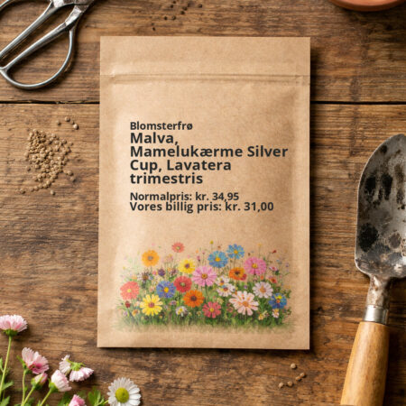 Malva, Mamelukærme Silver Cup, Lavatera trimestris
