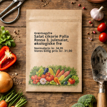Salat cikorie Palla Rossa 3, julesalat, økologiske frø