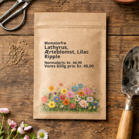 Lathyrus, Ærteblomst, Lilac Ripple