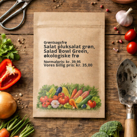 Salat pluksalat grøn, Salad Bowl Green, økologiske frø