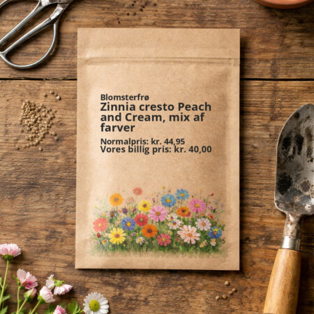 Zinnia cresto Peach and Cream, mix af farver